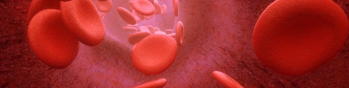 3d render Blood cells flowing through arteries or veins 4k