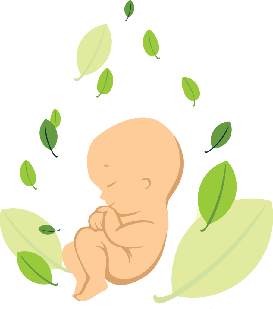 Illustration of baby and leaves