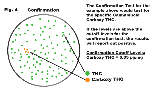 On the level: screening and confirmation testing explained figure 4