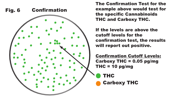 On the level: screening and confirmation testing explained figure 6