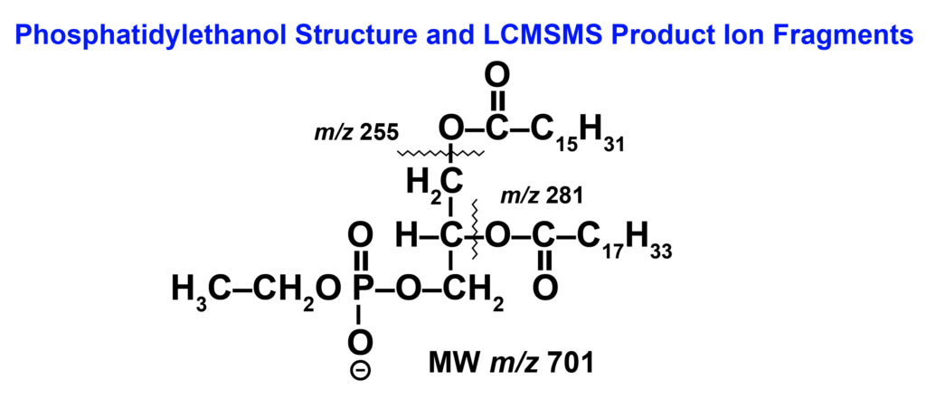 Phosphatidylethanol Structure and LCMSMS Product Ion Fragments