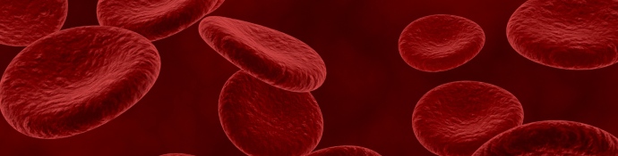 3d render blood cells