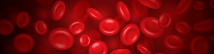 Realistic red blood cells flowing through artery background